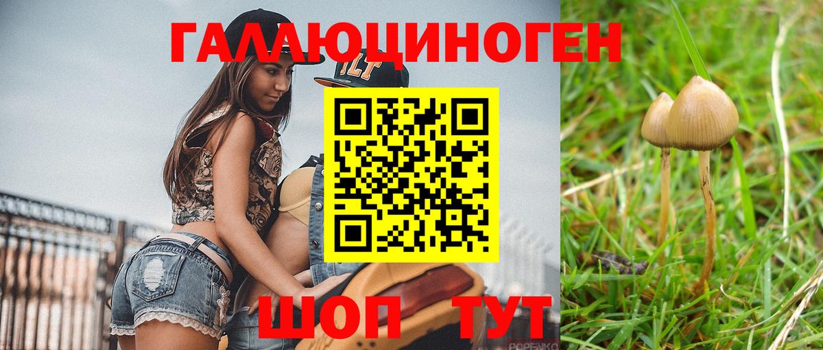 МЕФ   Кудымкар  Кокаин  Вход с VPN  Гашиш 